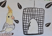 Súťaž